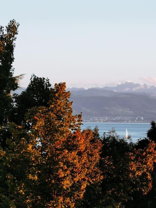 Wohnen Direkt Am Uferpark Mit Grossem Balkon Und Seeblick Friedrichshafen Exterior foto